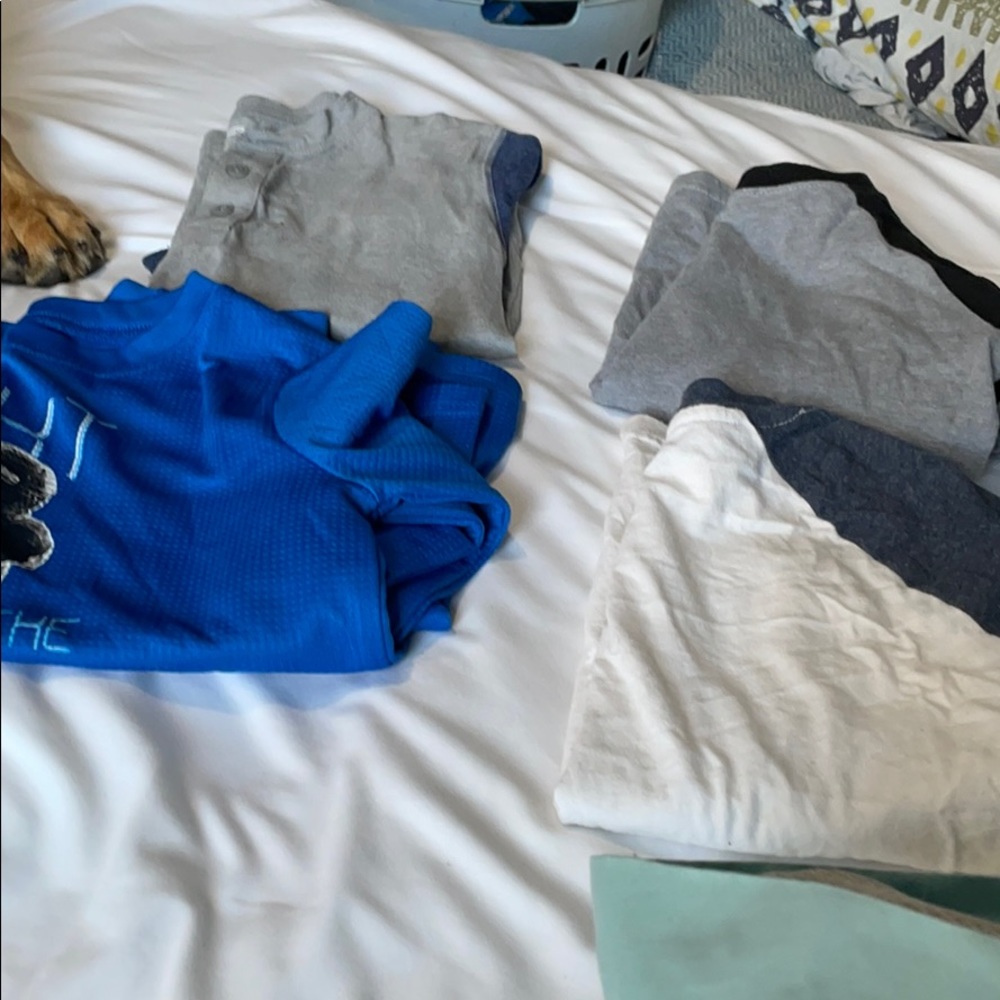 Shirts